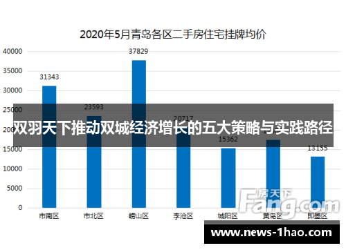 双羽天下推动双城经济增长的五大策略与实践路径