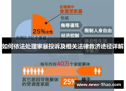 如何依法处理家暴投诉及相关法律救济途径详解