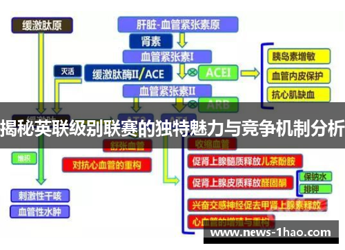 揭秘英联级别联赛的独特魅力与竞争机制分析
